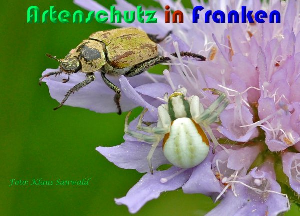 Copyright AiS Klaus Sanwald Bild zum Eintrag (59008-160)