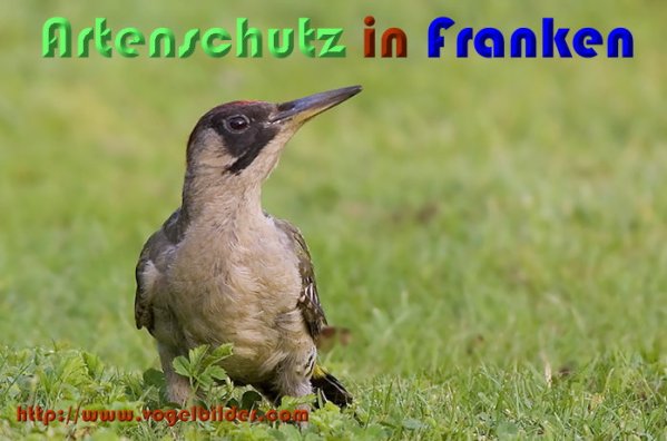 Bild zum Eintrag (59045-160)