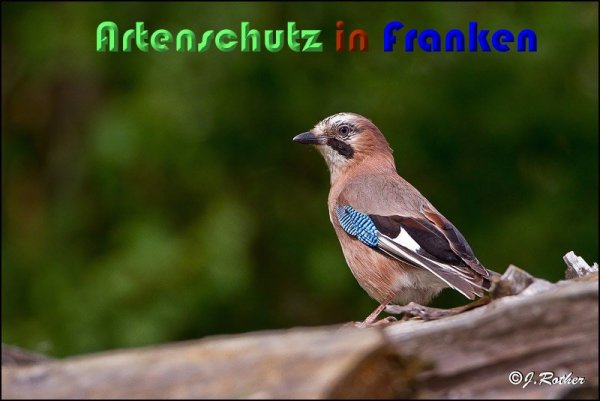 Copyright AiS Johannes Rother Bild zum Eintrag (59218-160)