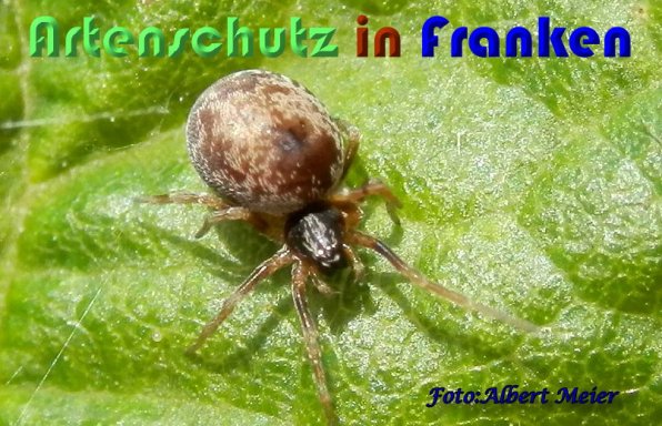 Bild zum Eintrag (59312-160)
