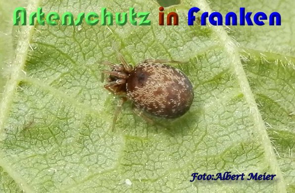 Bild zum Eintrag (59313-160)