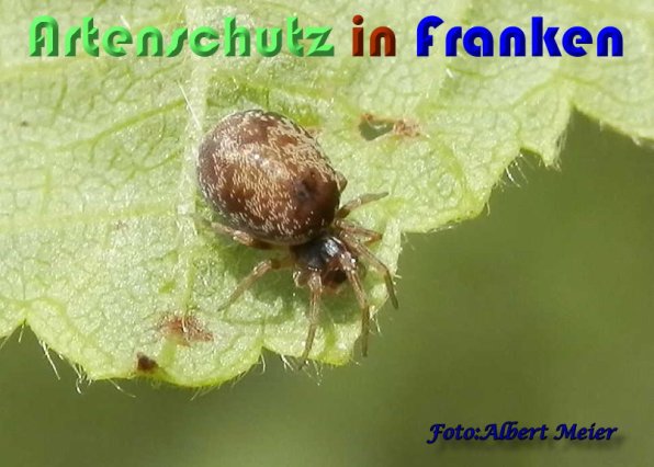 Bild zum Eintrag (59314-160)