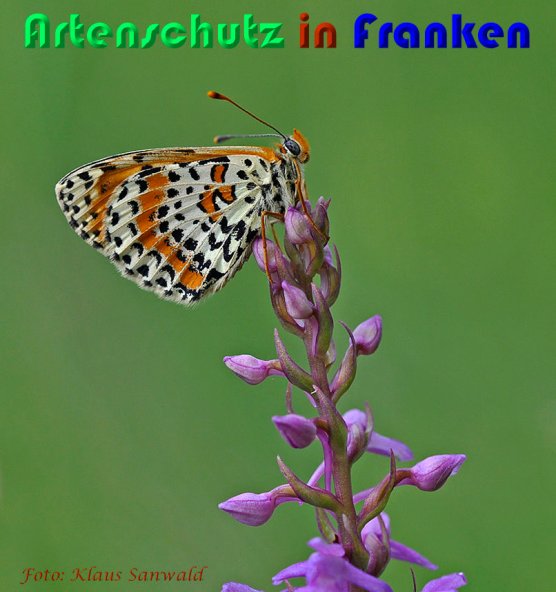 Bild zum Eintrag (59327-160)