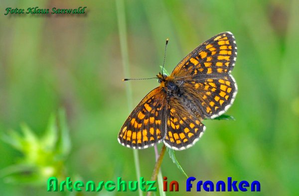 Copyright AiS Klaus Sanwald Bild zum Eintrag (59488-160)