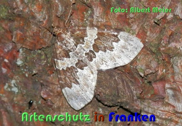 Bild zum Eintrag (59500-160)