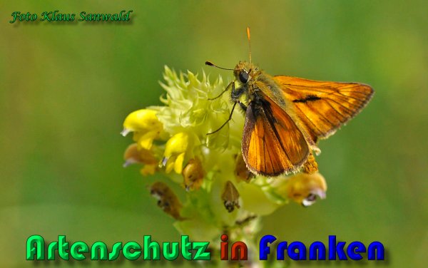 Copyright AiS Klaus Sanwald Bild zum Eintrag (59685-160)