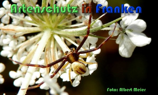 Bild zum Eintrag (59912-160)