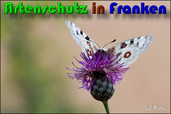 Copyright AiS Klaus Sanwald Bild zum Eintrag (60206-160)
