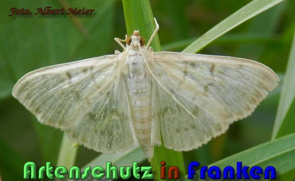 Bild zum Eintrag (60590-160)