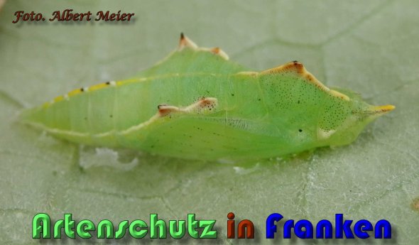 Bild zum Eintrag (60600-160)