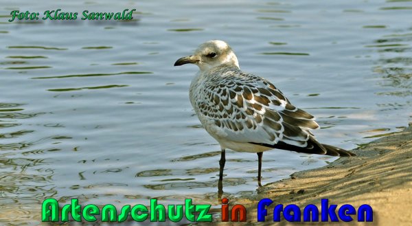 Bild zum Eintrag (60624-160)