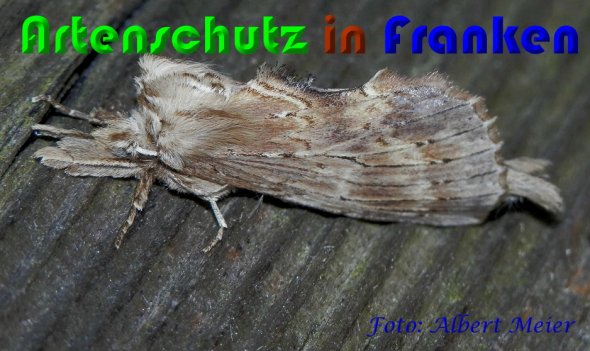 Bild zum Eintrag (60834-160)