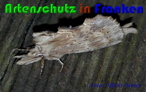 Bild zum Eintrag (60835-160)
