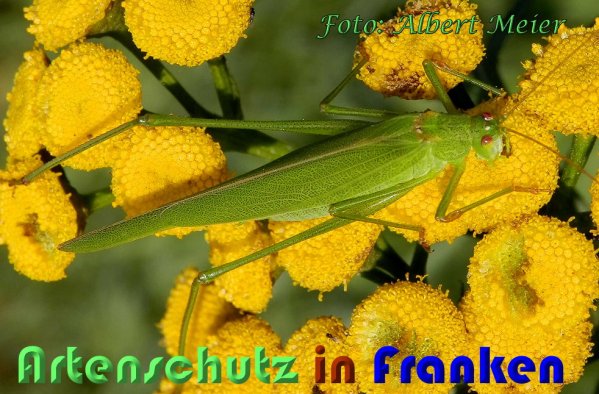 Bild zum Eintrag (60926-160)