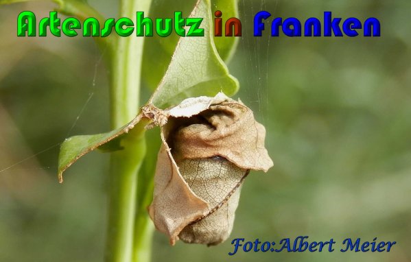 Bild zum Eintrag (60980-160)