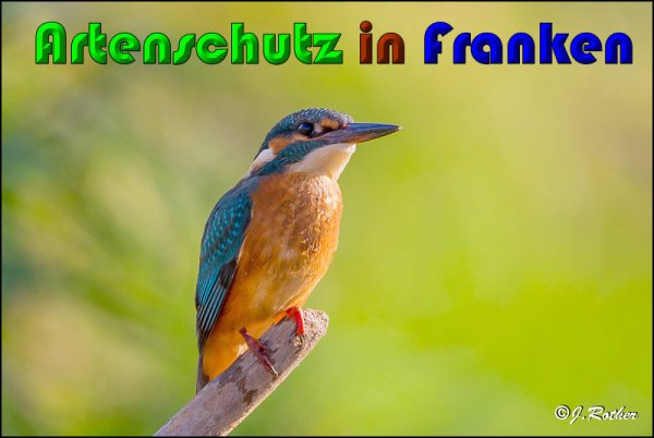Copyright AiS Johannes Rother Bild zum Eintrag (61190-160)