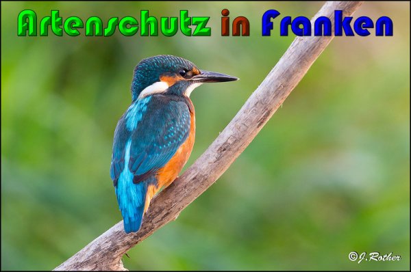 Copyright AiS Johannes Rother Bild zum Eintrag (61194-160)