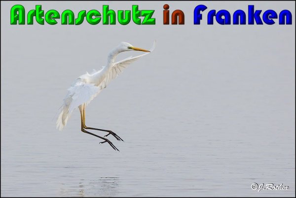 Copyright AiS Johannes Rother Bild zum Eintrag (61224-160)