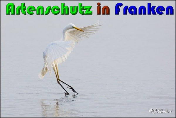 Copyright AiS Johannes Rother Bild zum Eintrag (61225-160)