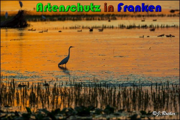 Copyright AiS Johannes Rother Bild zum Eintrag (61227-160)