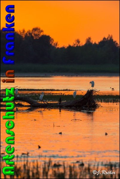 Copyright AiS Johannes Rother Bild zum Eintrag (61232-160)