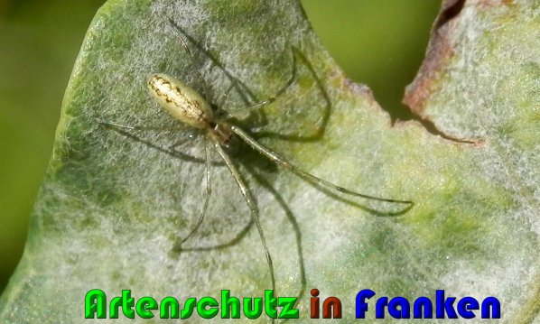 Bild zum Eintrag (61291-160)