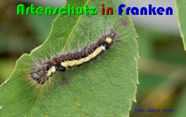 Bild zum Eintrag (61362-160)