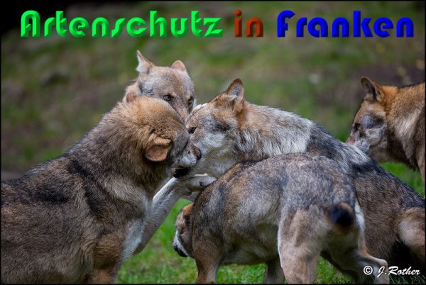 Copyright AiS Johannes Rother Bild zum Eintrag (61472-160)