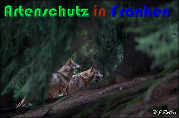 Copyright AiS Johannes Rother Bild zum Eintrag (61475-160)