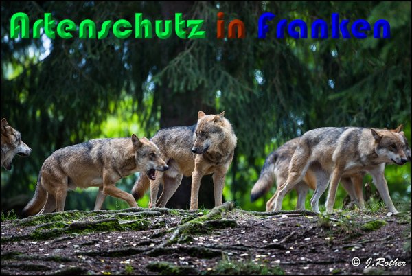 Copyright AiS Johannes Rother Bild zum Eintrag (61476-160)