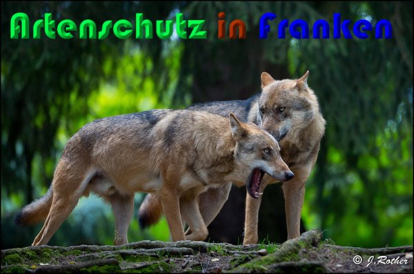 Copyright AiS Johannes Rother Bild zum Eintrag (61477-160)