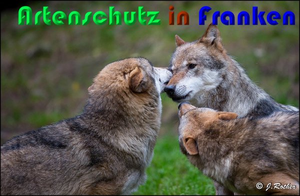 Copyright AiS Johannes Rother Bild zum Eintrag (61484-160)