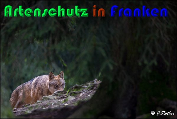 Copyright AiS Johannes Rother Bild zum Eintrag (61485-160)