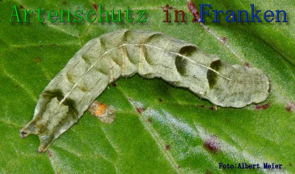 Copyright AiS Bild zum Eintrag (61622-160)