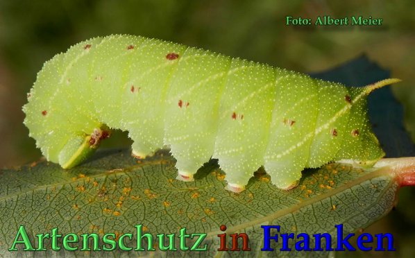 Bild zum Eintrag (61730-160)