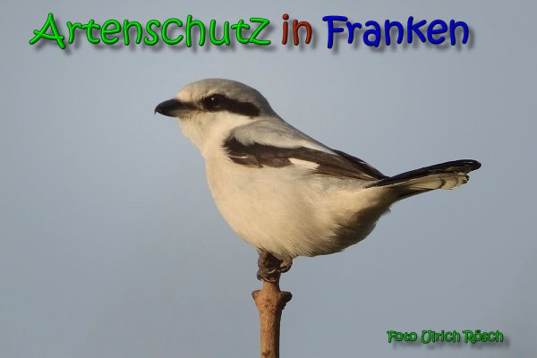 Copyright AiS Ulrich Rösch Bild zum Eintrag (61861-160)