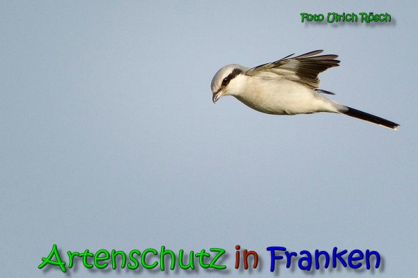 Copyright AiS Ulrich Rösch Bild zum Eintrag (61862-160)