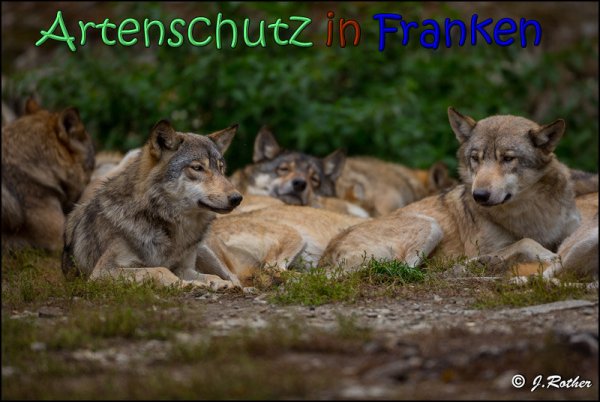 Copyright AiS Johannes Rother Bild zum Eintrag (62033-160)