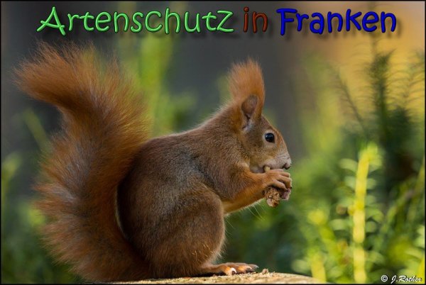 Copyright AiS Johannes Rother Bild zum Eintrag (62515-160)
