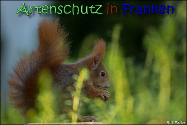Copyright AiS Johannes Rother Bild zum Eintrag (62516-160)