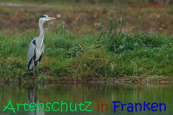 Copyright AiS Ulrich Rösch Bild zum Eintrag (62823-160)