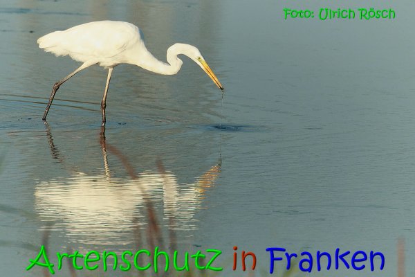 Copyright AiS Ulrich Rösch Bild zum Eintrag (62825-160)