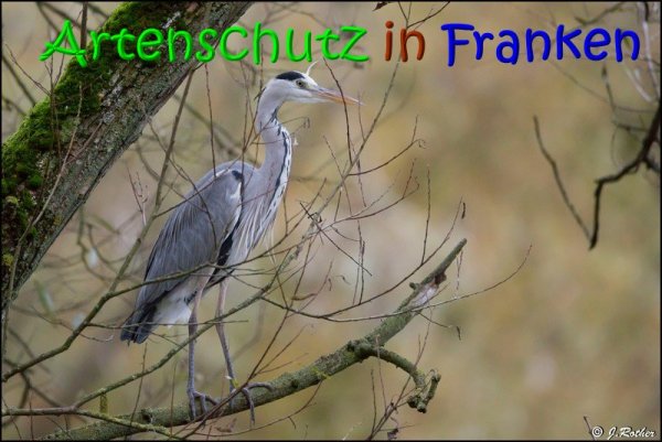 Copyright AiS Johannes Rother Bild zum Eintrag (62836-160)