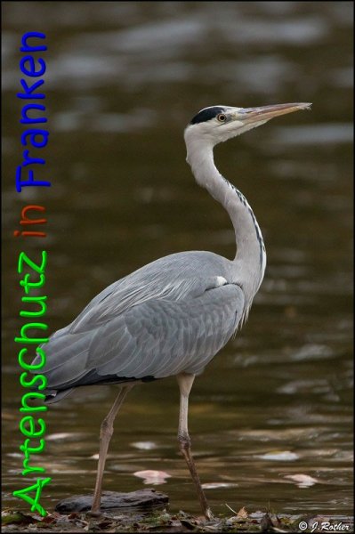 Copyright AiS Johannes Rother Bild zum Eintrag (62837-160)