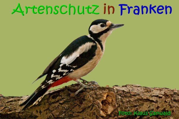 Copyright AiS Klaus Sanwald Bild zum Eintrag (62858-160)