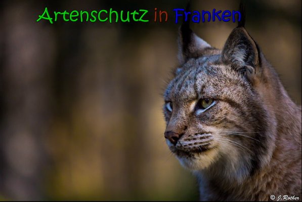 Copyright AiS Johannes Rother Bild zum Eintrag (62984-160)