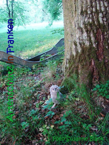 Copyright AiS Susanne Blank Bild zum Eintrag (63048-160)