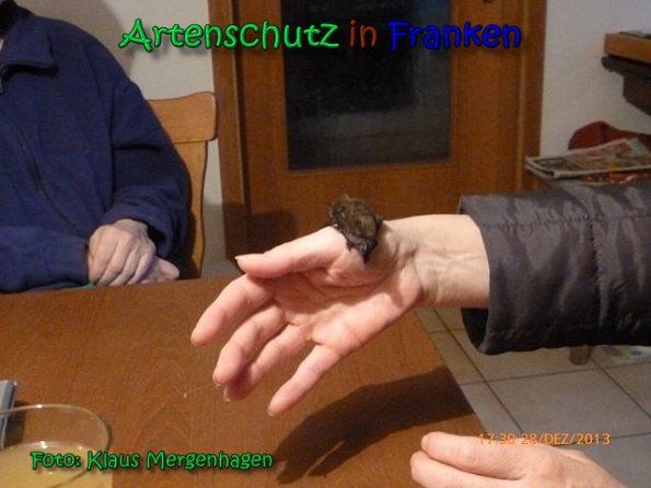 Copyright AiS Klaus Mergenhagen Bild zum Eintrag (63060-160)