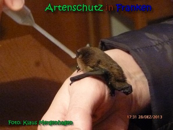 Copyright AiS Klaus Mergenhagen Bild zum Eintrag (63061-160)