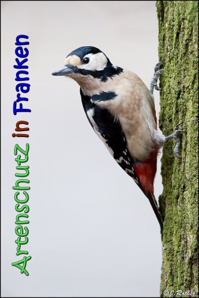 Copyright AiS Johannes Rother Bild zum Eintrag (63250-160)